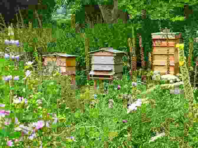 A Beehive Nestled In A Flourishing Garden, Surrounded By Flowers To Bee: A Budding Beekeeper S Book: Beginner To Beekeeping? Discover How To Start Your First Hive In Your Own Backyard Harvest Your Own Honey And Have Fun ng It