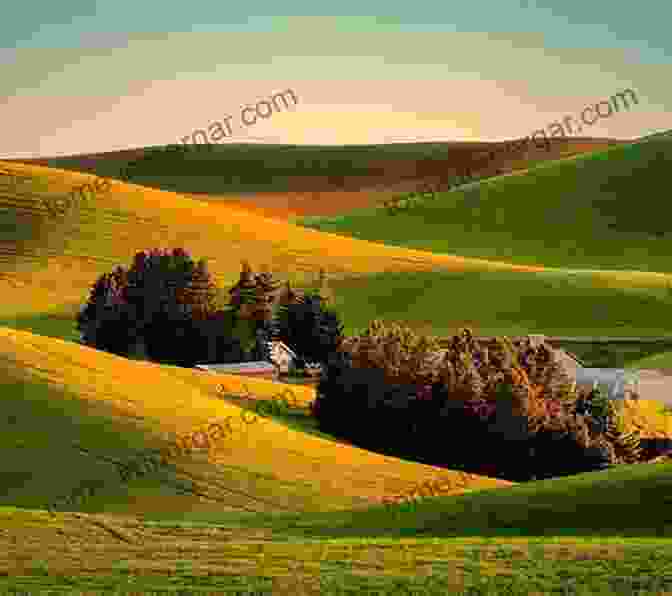 A Panoramic View Of Iowa's Rolling Hills, With Lush Green Fields And Distant Farmhouses, Showcasing The State's Remarkable Soils. Iowa S Remarkable Soils: The Story Of Our Most Vital Resource And How We Can Save It (Bur Oak Book)