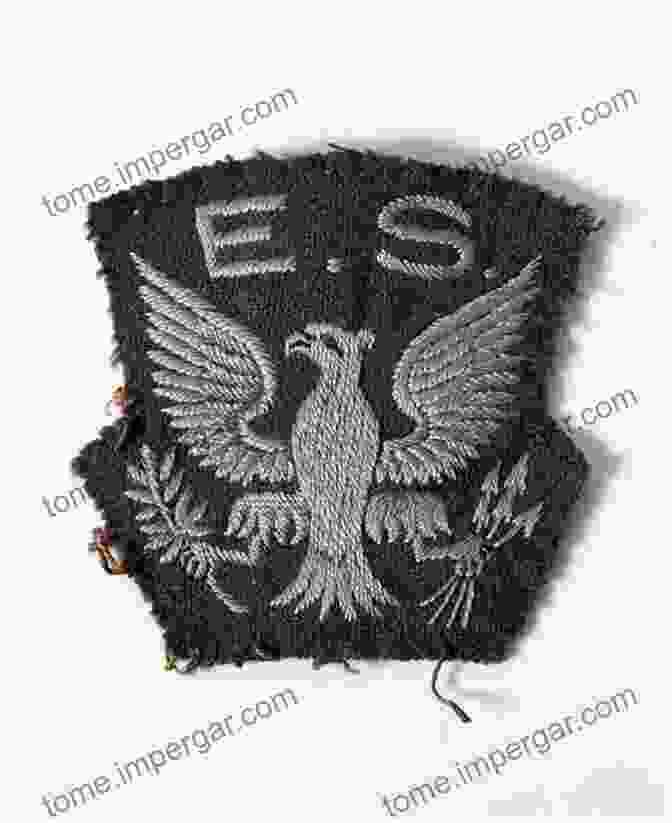 A Squadron Insignia With A Bold Eagle And The Words Colors Markings Of The F 14 Tomcat: Part 2: Pacific Fleet And Reserve Squadrons (Colors Markings 4)