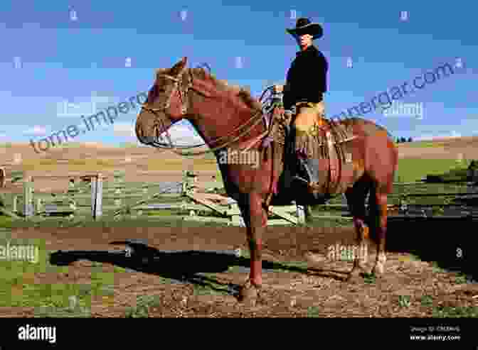 A Strong Cowboy Sitting On A Horse, Looking Determined Horse Iron (Screenettes) Daniel Fryda