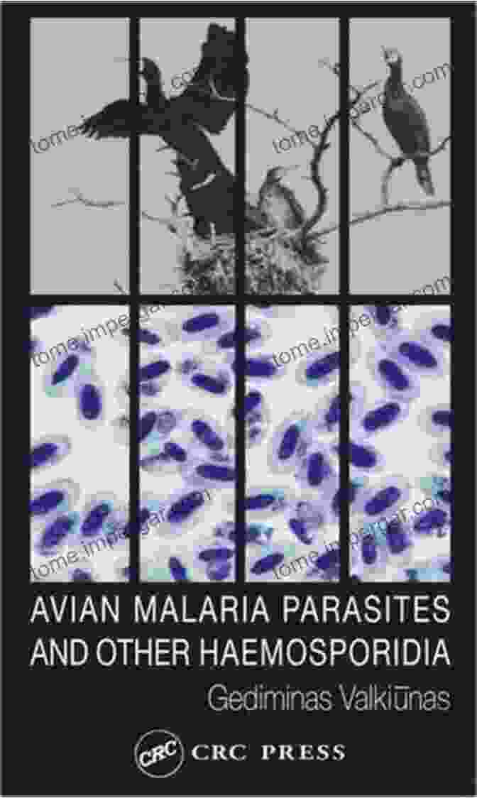 Avian Malaria Parasites And Other Haemosporidia Book Cover Avian Malaria Parasites And Other Haemosporidia