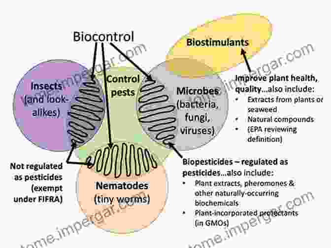 Biocontrol Agents Engaged In Microbial Warfare Against Pathogens Microbial Resources For Crop Improvement