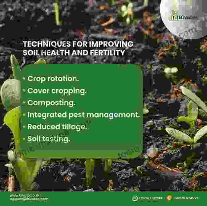 Biofertilizer Application Enhancing Soil Fertility And Crop Health Microbial Resources For Crop Improvement