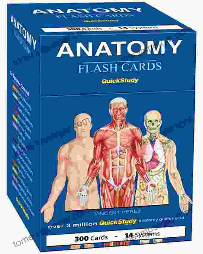 Comprehensive Coverage Of Anatomical Structures With Gray's Anatomy Flash Cards Gray S Anatomy For Students Flash Cards: With STUDENT CONSULT Online Access