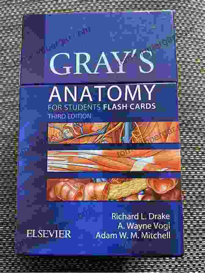 Detailed Illustrations Enhance Visual Learning With Gray's Anatomy Flash Cards Gray S Anatomy For Students Flash Cards: With STUDENT CONSULT Online Access