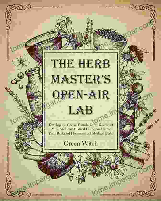 Elderberries THE HERB MASTER S OPEN AIR LAB: Develop The Green Thumb Grow Dozens Of Anti Pandemic Medical Herbs And Grow Your Backyard Homestead Of Medical Herbs (The Alchemy Of Herbs 8)