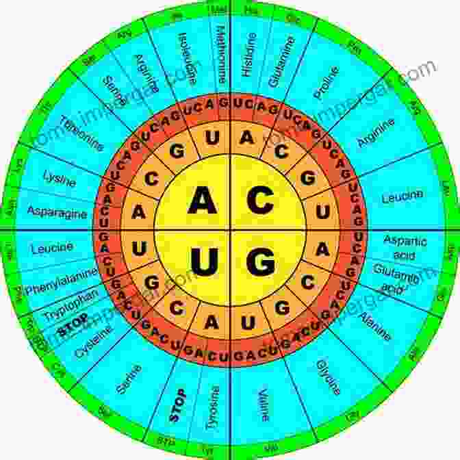 Image Of A Genetic Code With DNA Strands Lactic Acid Bacteria: Genetics Metabolism And Applications: Proceedings Of The Seventh Symposium On Lactic Acid Bacteria: Genetics Metabolism And Applications 2002 Egmond Aan Zee The Netherlands