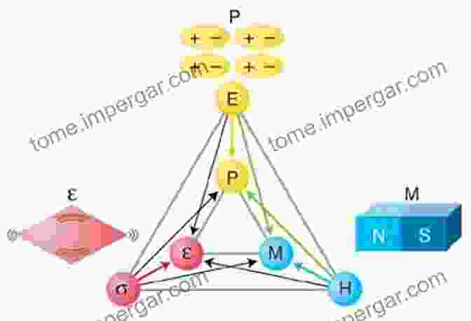 Image Of Ferroic Materials To Ferroic Materials Barbara Kingsolver