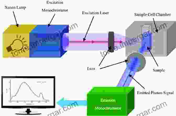 Image Of Fluorescence Spectroscopy Being Used In Various Fields, Including Medicine, Materials Science, And Environmental Monitoring New Trends In Fluorescence Spectroscopy: Applications To Chemical And Life Sciences (Springer On Fluorescence 1)