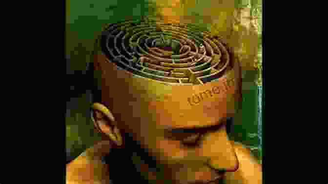 Image Representing The Labyrinth Of Consciousness Self: Philosophy In Transit Barry Dainton