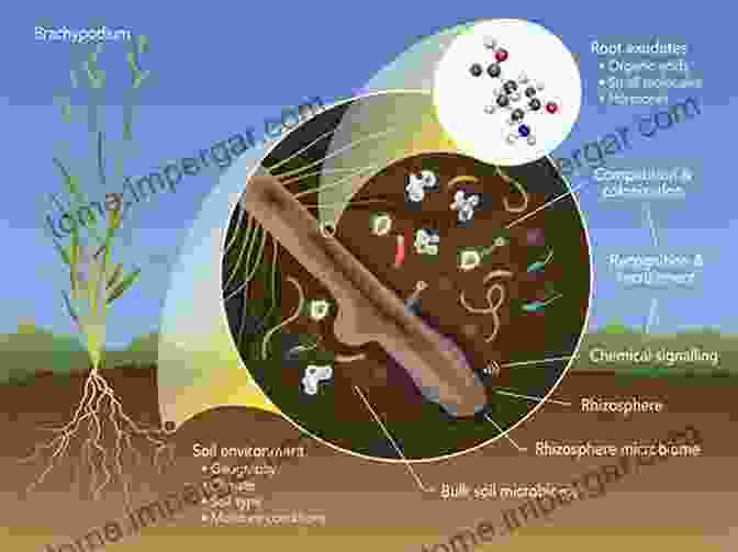 Microbial Life Teeming In Soil Microbiome Microbial Resources For Crop Improvement