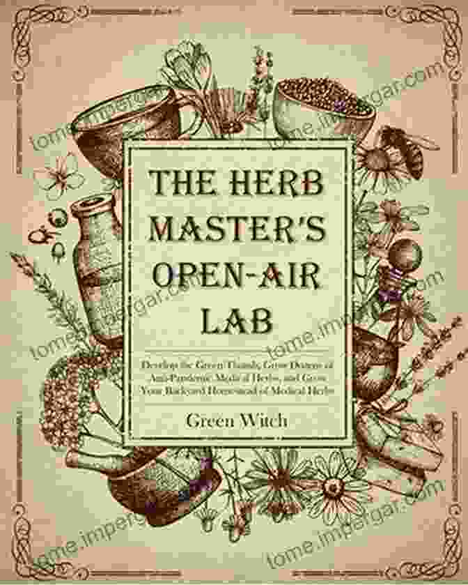 Sage Leaves THE HERB MASTER S OPEN AIR LAB: Develop The Green Thumb Grow Dozens Of Anti Pandemic Medical Herbs And Grow Your Backyard Homestead Of Medical Herbs (The Alchemy Of Herbs 8)