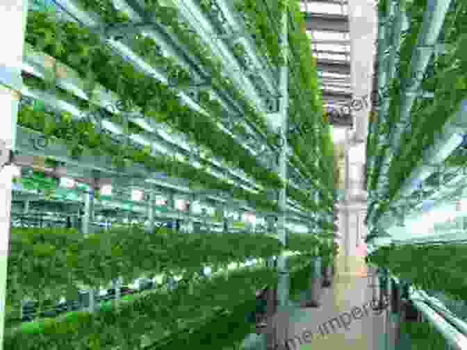 Scientists Conducting Research On Aeroponic Cultivation Techniques Cloning Solutions: The Art And Science Of Aeroponic Propagation