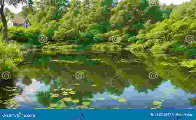 Serene Oyster Pond Reflecting The Surrounding Nature The Look Of Chatham I