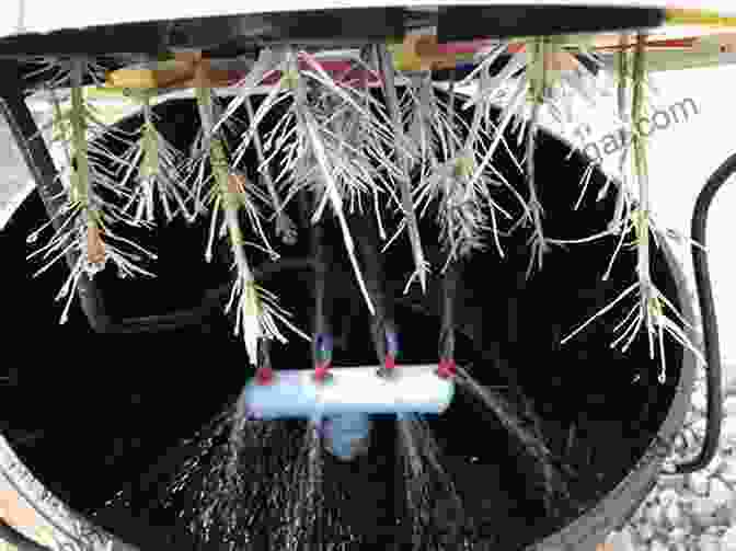 State Of The Art Aeroponic System With Misting Nozzles And Suspended Plants Cloning Solutions: The Art And Science Of Aeroponic Propagation