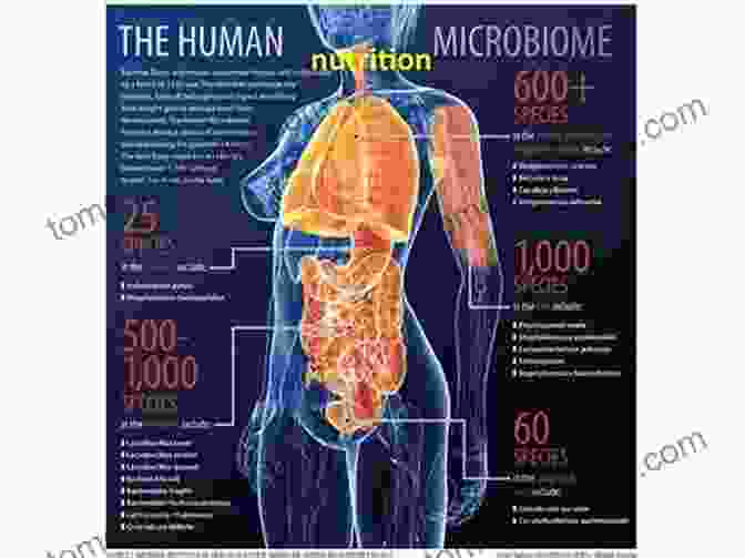 Thriving Microbial Communities In The Human Body Self Heal By Design The Role Of Micro Organisms For Health By Barbara O Neill