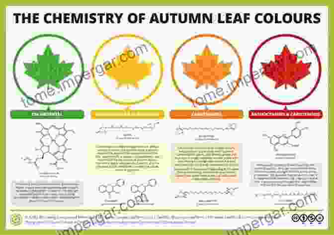 Vibrant Autumn Leaves, Showcasing The Diversity Of Plant Pigments The Chemistry Of Plants: Perfumes Pigments And Poisons