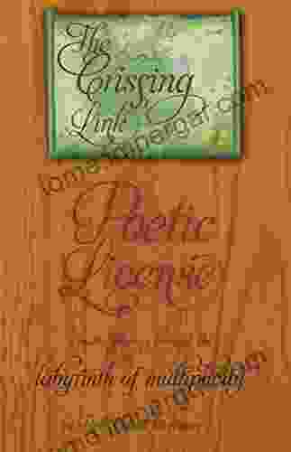 Poetic License: A Poetic Journey Through The Labyrinth Of Multiplicity (The Crissing Link 1)