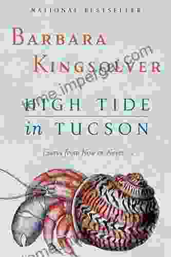 High Tide In Tucson: Essays From Now Or Never