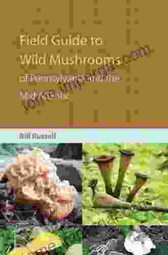 Field Guide to Wild Mushrooms of Pennsylvania and the Mid Atlantic: Revised and Expanded Edition (Keystone Books)