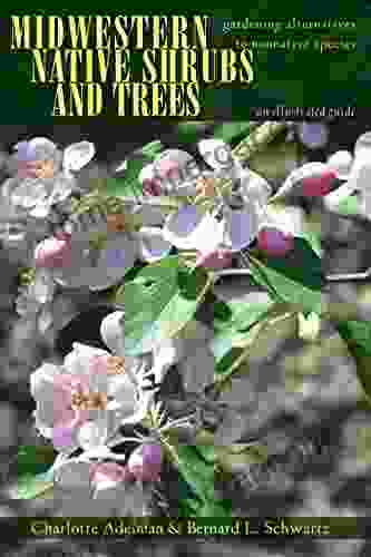 Midwestern Native Shrubs And Trees: Gardening Alternatives To Nonnative Species: An Illustrated Guide