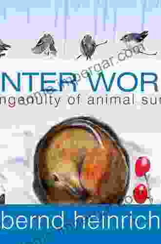 Winter World: The Ingenuity Of Animal Survival