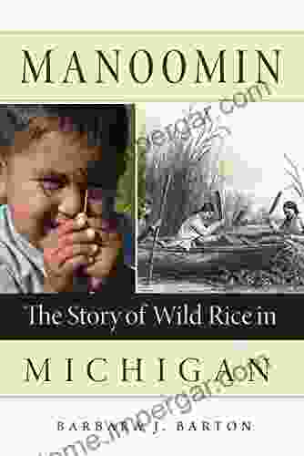 Manoomin: The Story Of Wild Rice In Michigan