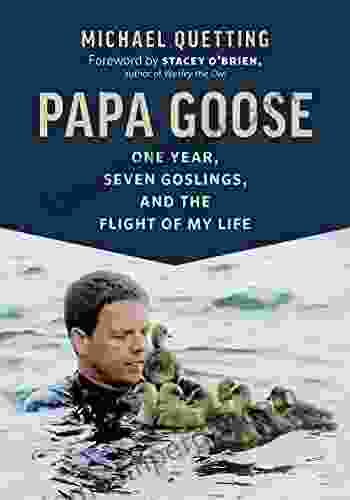 Papa Goose: One Year Seven Goslings And The Flight Of My Life