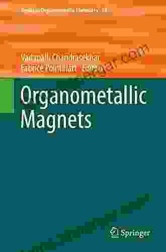 Organometallic Magnets (Topics In Organometallic Chemistry 64)