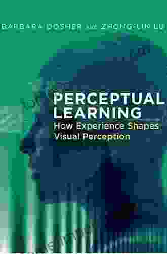 Perceptual Learning: How Experience Shapes Visual Perception