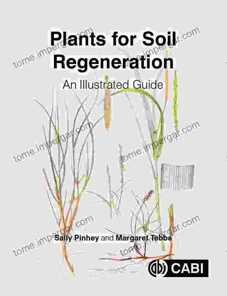 Plants For Soil Regeneration: An Illustrated Guide