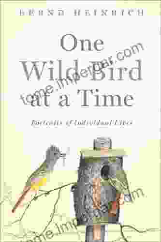 One Wild Bird At A Time: Portraits Of Individual Lives