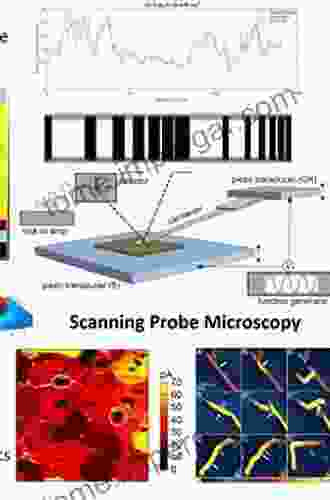 Scanning Probe Microscopy In Nanoscience And Nanotechnology 3 (NanoScience And Technology)