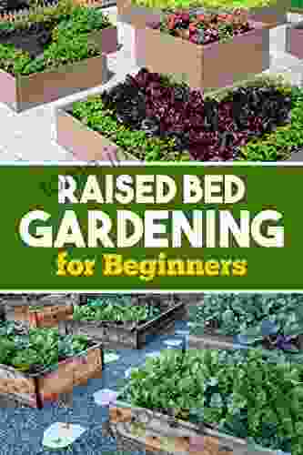 Raised Bed Gardening For Small Spaces: Simple Step By Step Gude To Growing Your Own Organic Vegetables Fruit Herbs Plants This Season