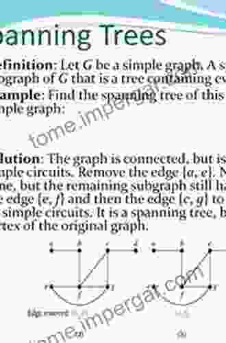 Spanning Trees And Optimization Problems (Discrete Mathematics And Its Applications 19)