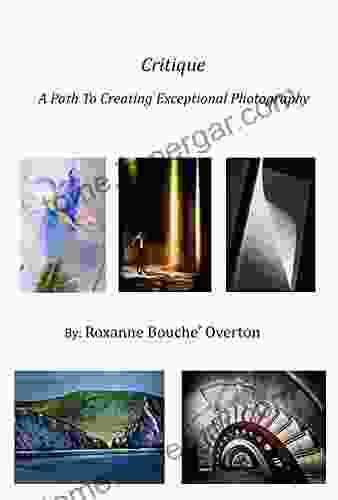 Critique A Path To Creating Exceptional Photography