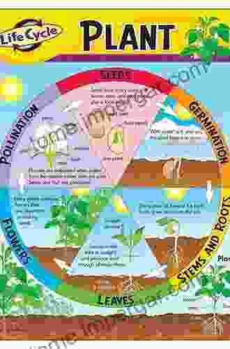 The Life Of Plants: A Metaphysics Of Mixture