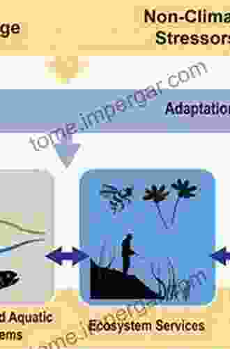 Management Of Boreal Forests: Theories And Applications For Ecosystem Services