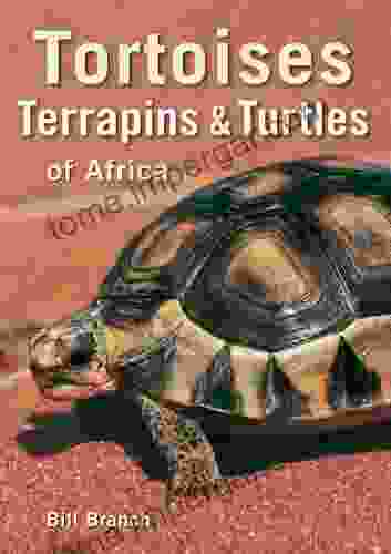 Tortoises Terrapins Turtles of Africa