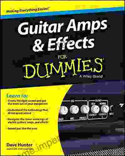 Guitar Amps Effects For Dummies