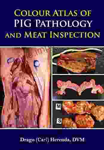 Colour Atlas Of Pig Pathology And Meat Inspection