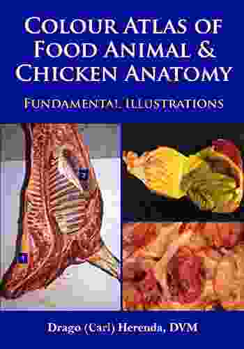 Colour Atlas Of Food Animal And Chicken Anatomy