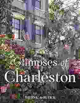 Glimpses Of Charleston David R AvRutick