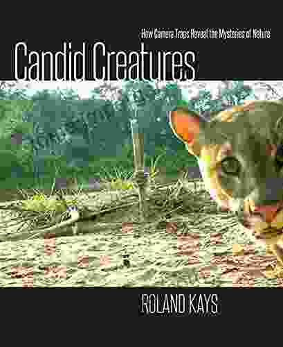 Candid Creatures: How Camera Traps Reveal The Mysteries Of Nature