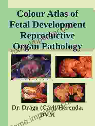 Colour Atlas Of Fetal Development And Reproductive Organ Pathology In Food Animals