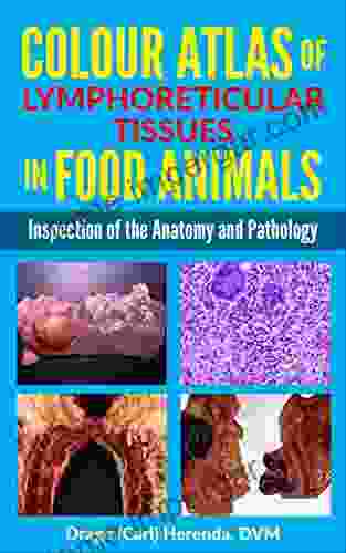 Colour Atlas Of Lymphoreticular Tissues In Food Animals