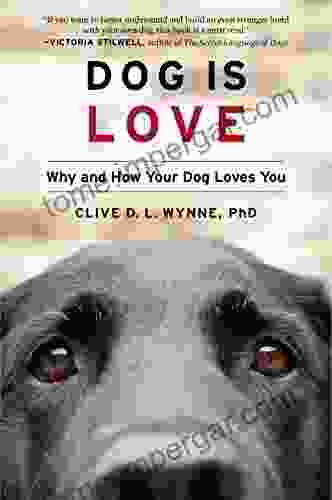 Dog Is Love: Why And How Your Dog Loves You