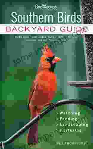 Southern Birds: Backyard Guide * Watching * Feeding * Landscaping * Nurturing North Carolina South Carolina Georgia Florida Mississippi Louisiana (Bird Watcher S Digest Backyard Guide)